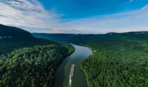 Sungai Amazon Sungai Terbesar Dunia yang Menyimpan Misteri Alam