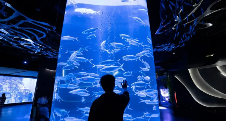 Wisata Jakarta Aquarium & Safari: Destinasi Edukatif dan Hiburan Keluarga di Tengah Kota
