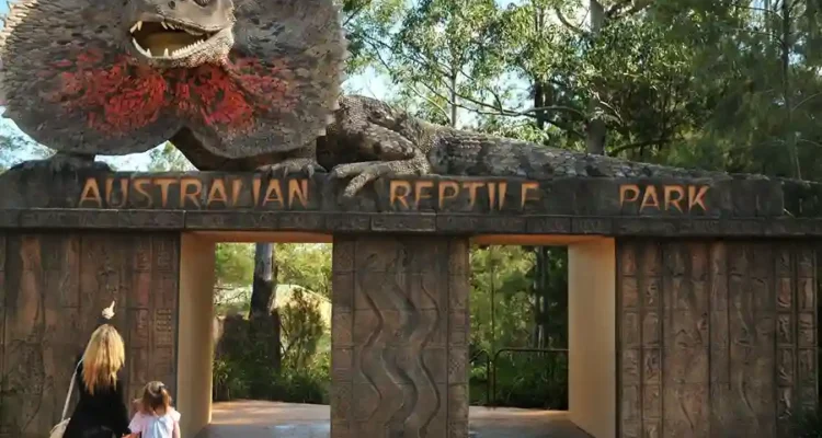 Australian Reptile Park Edukasi dan Petualangan Alam Sekaligus