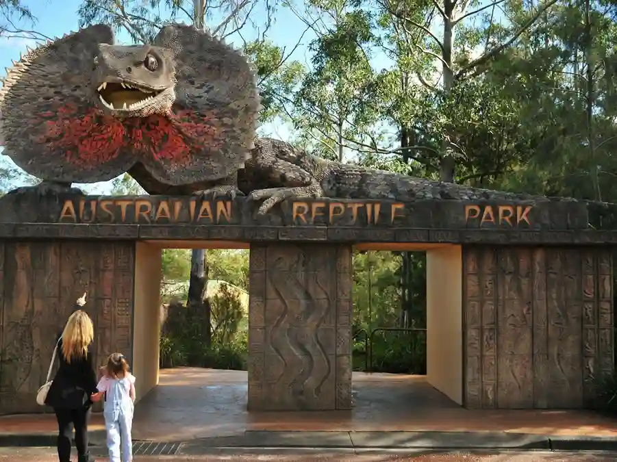 Australian Reptile Park Edukasi dan Petualangan Alam Sekaligus