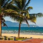 Pantai Da Nang 2025 Surga Tropis Baru untuk Traveler