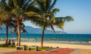Pantai Da Nang 2025 Surga Tropis Baru untuk Traveler