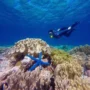 Wisata Wakatobi, Destinasi dengan Keindahan Laut yang Tak Tertandingi