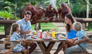 Bali Zoo Gianyar 2026 Wisata Keluarga Terkenal Dunia yang Makin Interaktif