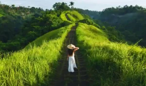 Campuhan Ridge Walk Ubud 2026 Jalur Trekking Terkenal Dunia yang Tetap Menenangkan Jiwa