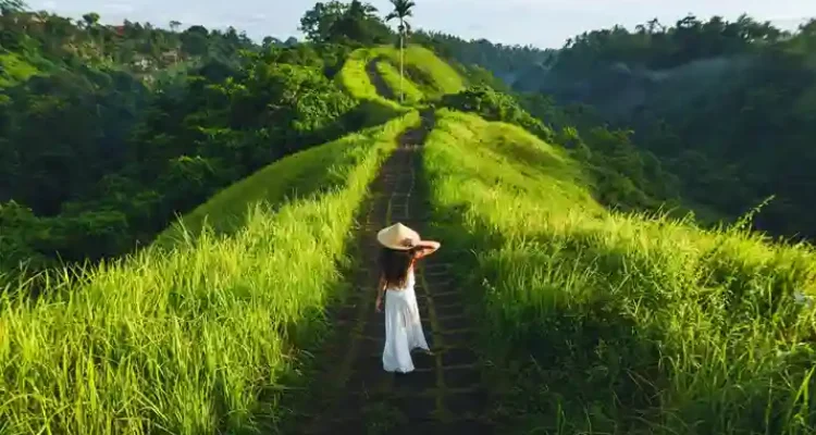 Campuhan Ridge Walk Ubud 2026 Jalur Trekking Terkenal Dunia yang Tetap Menenangkan Jiwa