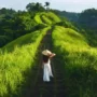Campuhan Ridge Walk Ubud 2026 Jalur Trekking Terkenal Dunia yang Tetap Menenangkan Jiwa