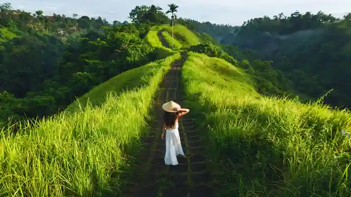 Campuhan Ridge Walk Ubud 2026 Jalur Trekking Terkenal Dunia yang Tetap Menenangkan Jiwa