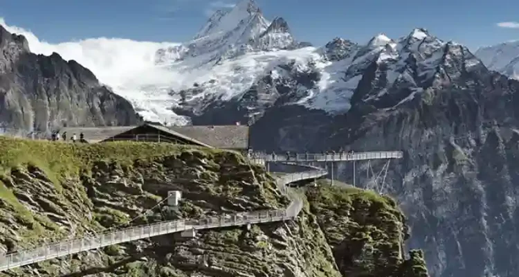 Grindelwald First 2026, Cliff Walk Viral di Swiss yang Bikin Jantung Berdebar