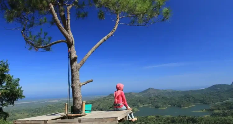 Kalibiru Kulon Progo, Panorama Alam dan Pelajaran Sains dari Ketinggian