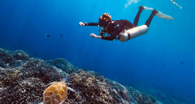 Pulau Sipadan Sabah, Surga Diving Malaysia yang Terkenal di Dunia