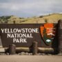Yellowstone National Park Wyoming 2026, Taman Nasional Amerika Yang Mendunia