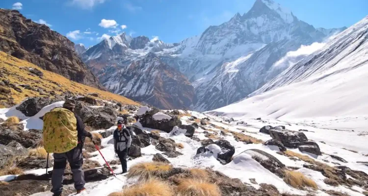Wisata Pegunungan Alpen, Pesona Negeri Salju yang Bikin Traveler Betah Menatap Langit