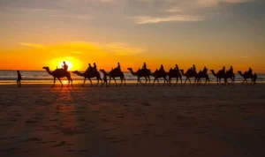 Cable Beach, Pantai Broome dengan Senja Spektakuler dan Jejak Sejarah