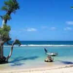 Pantai Lhok Mee, Pesona Pasir Putih dan Pohon Laut Ikonik di Aceh Besar