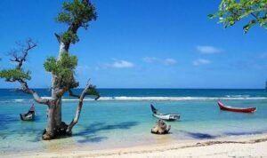 Pantai Lhok Mee, Pesona Pasir Putih dan Pohon Laut Ikonik di Aceh Besar