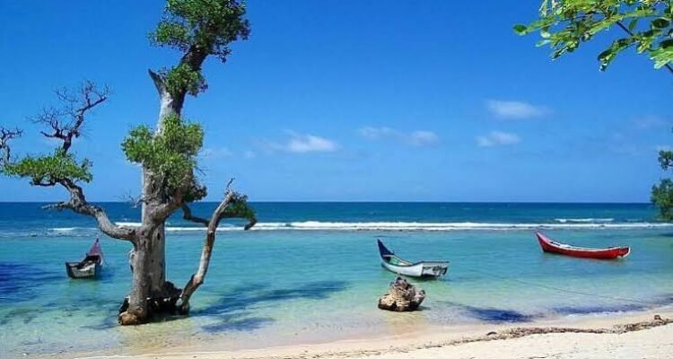Pantai Lhok Mee, Pesona Pasir Putih dan Pohon Laut Ikonik di Aceh Besar