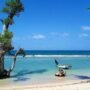 Pantai Lhok Mee, Pesona Pasir Putih dan Pohon Laut Ikonik di Aceh Besar