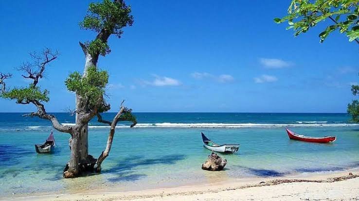 Pantai Lhok Mee, Pesona Pasir Putih dan Pohon Laut Ikonik di Aceh Besar